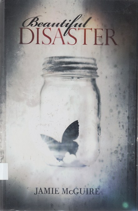 Beautiful Disaster