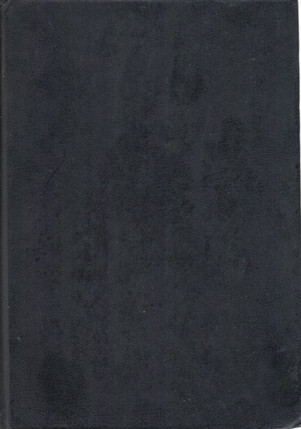 International Politics: the western state system and the world community